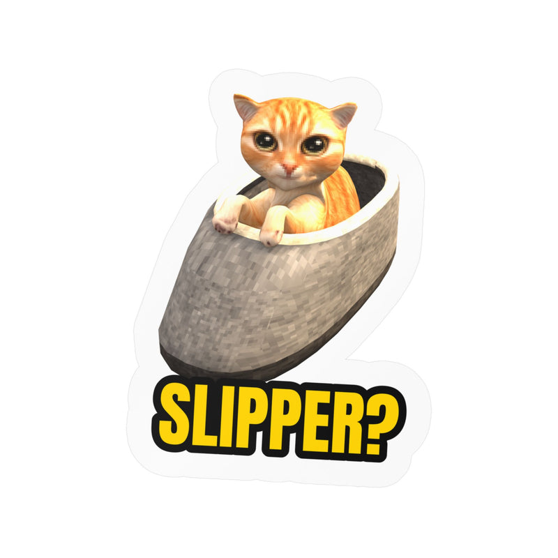 Slipper Kitten