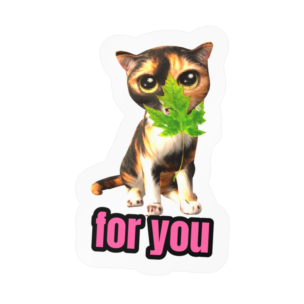 For you kitten